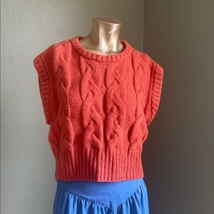 Le Lis Burnt Orange Knit Top